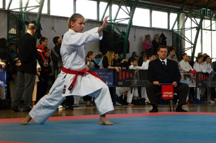 Karate turnir Zlatni pojas 2015